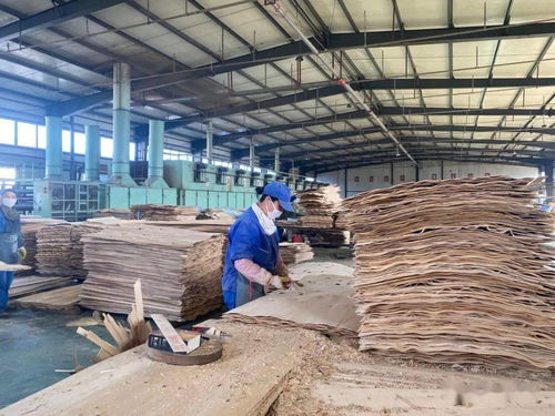 扎兰屯市林草局开展木材加工行业安全生产检查